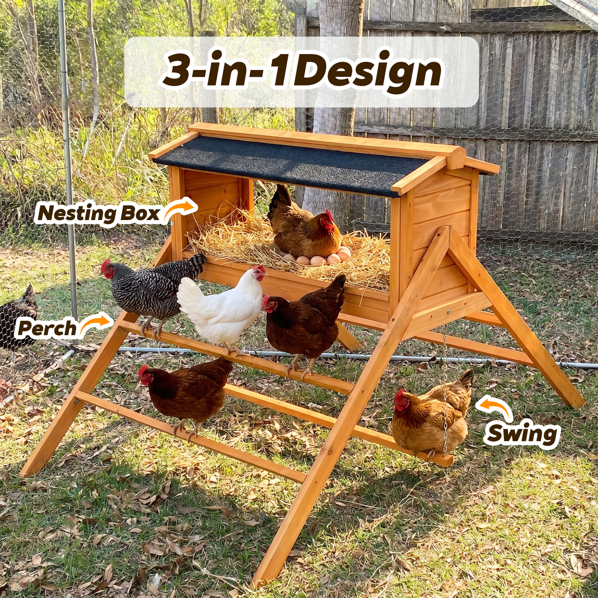 Chicken Nesting Box with Asphalt Roofing, - Image 3