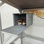 71.2" Tall Outdoor Cat Enclosure Catio wit - Image 5