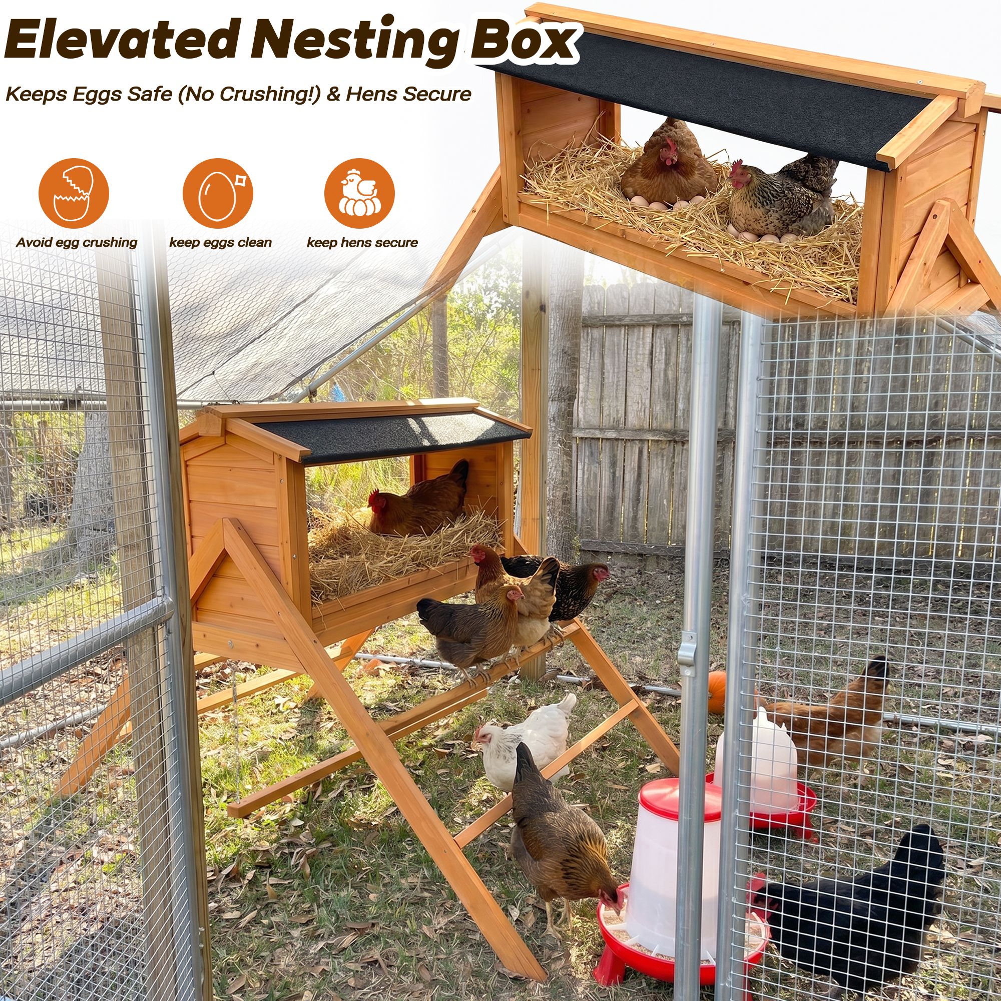 Chicken Nesting Box with Asphalt Roofing, - Image 4