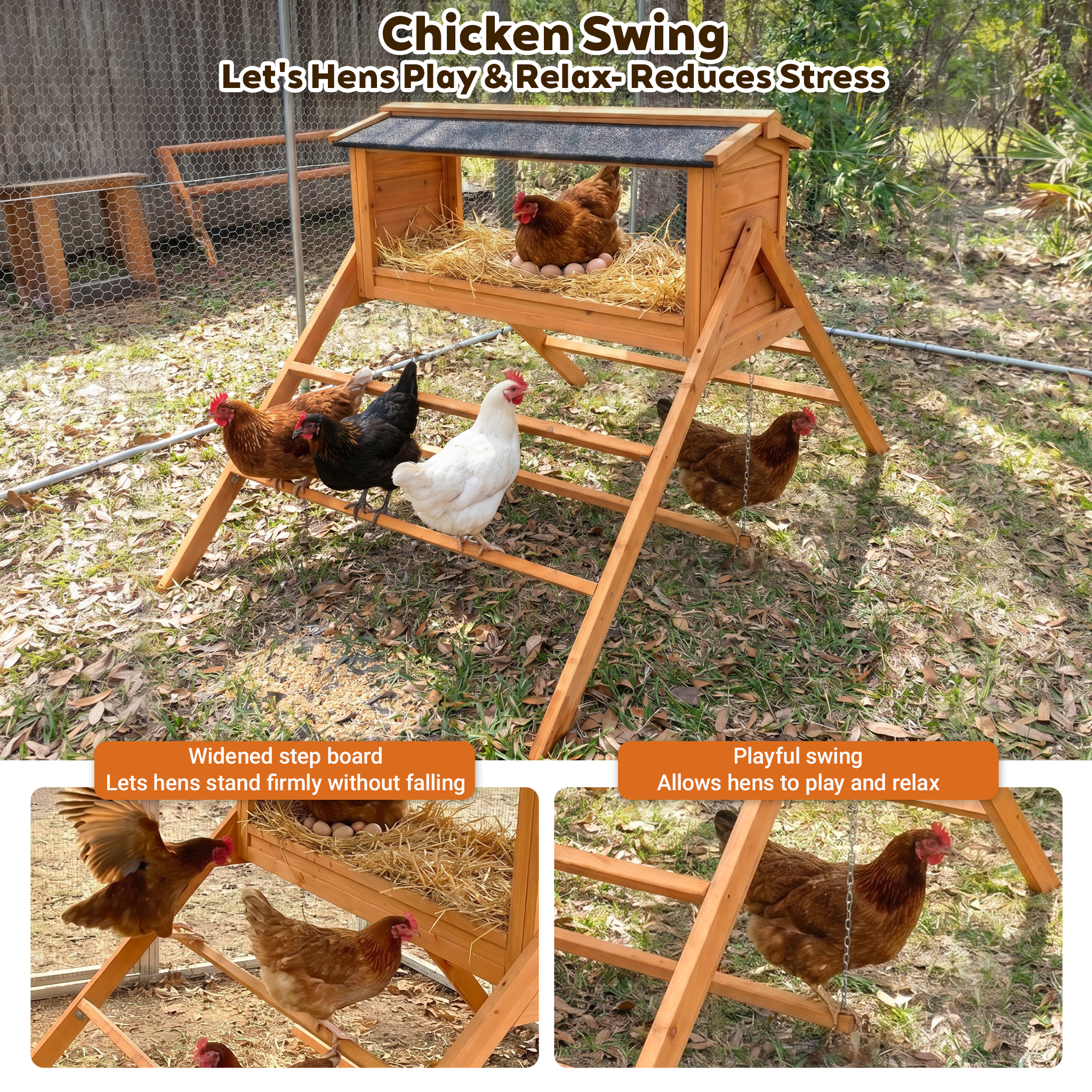 Chicken Nesting Box with Asphalt Roofing, - Image 5